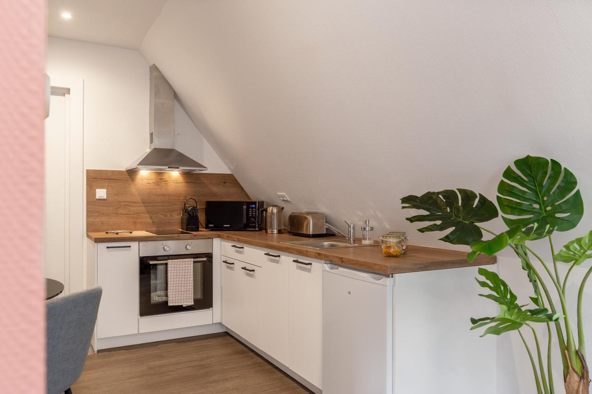 Travel Homes - Rapp, Charm In The Heart Of Colmar Exterior foto